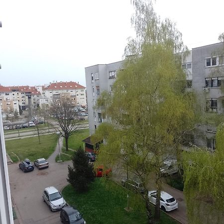 Appartamento Apartman Ciblja Velika Gorica Esterno foto